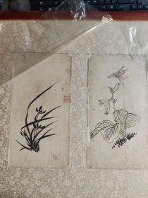 晚清书画家小夢松年花卉册页：“兰草”、“草虫”二幅 钤印“小梦”