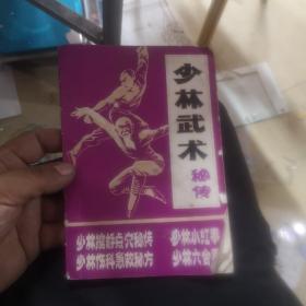 少林武术秘传