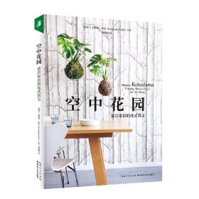 空中花园：适合家居的挂式苔玉