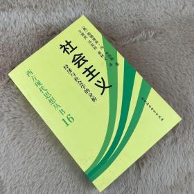 社会主义：经济与社会学的分析