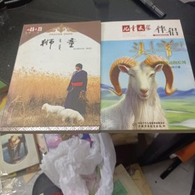 狮童，伴侣头羊
