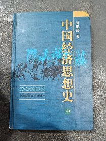 中国经济思想史中册精装