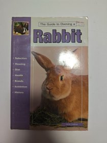 Rabbit（英文原版）16开