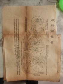 针灸图四张。