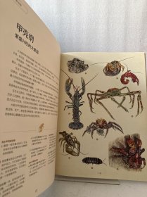 动物博物馆：影响孩子一生的生命课