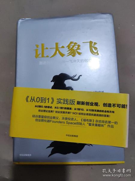 让大象飞:激进创新，让你一飞冲天的创业术