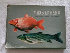 中国淡水鱼类原色图集（精装）中英对照