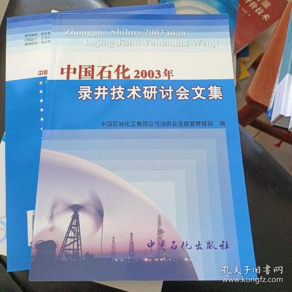 中国石化2003年录井技术研讨会文集