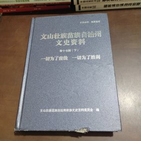 文山壮族苗族自治州文史资料 第十七辑 下