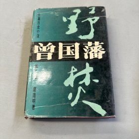 长篇历史小说曾国藩(第二部)-野焚