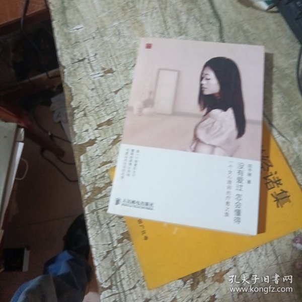 没有爱过，怎会懂得：一个女心理师的疗愈之旅