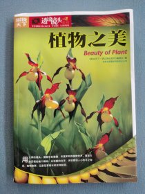 植物之美