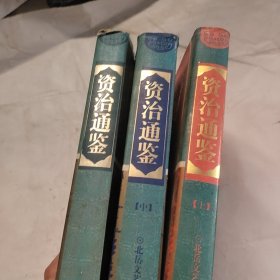 资治通鉴（上中下）