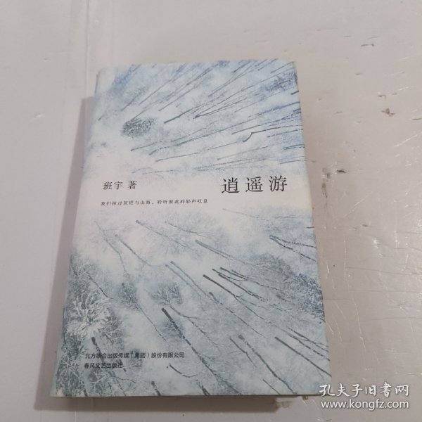 逍遥游（《冬泳》作者班宇最新作品，同名小说列收获文学排行榜短篇榜首）