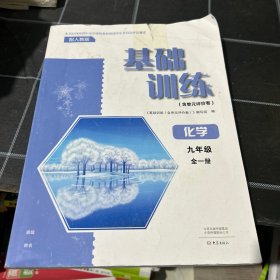 基础训练化学九年级全一册