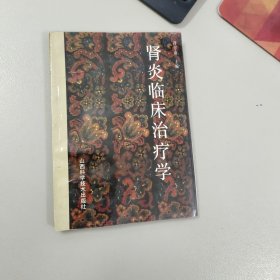 肾炎临床治疗学