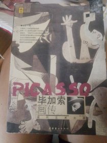毕加索画传