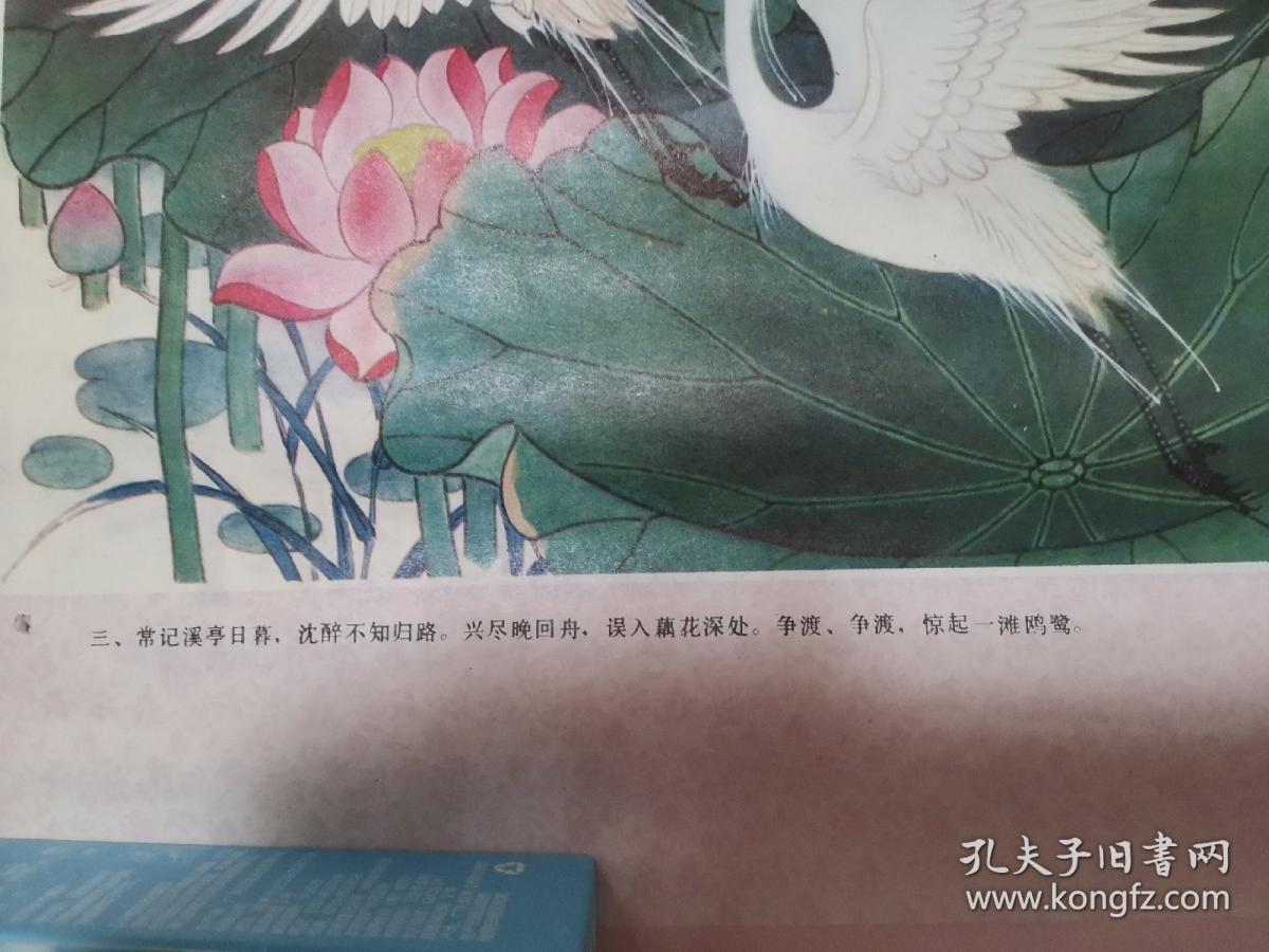 早期年画：李清照：三、常记溪亭日暮沈醉，不知归路，兴尽晚回舟，误入藕花深处，争渡争渡，惊起一滩鸥鹭。四、薄雾浓云愁，永昼瑞脑消金兽佳节又重阳玉枕纱厨半夜凉初透东篱把酒黄昏后有暗香盈袖莫道不销魂帘卷西风人比黄花瘦。【四联缺一、二】杨淑涛作，天津杨柳青画社出版1986年二月，一版一印