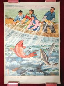 水乡渔歌，极其少见