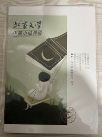 北京文学中篇小说月报2023年第6期