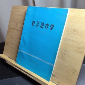 针灸治疗学