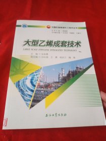 大型乙烯成套技术/中国石油炼油化工技术丛书