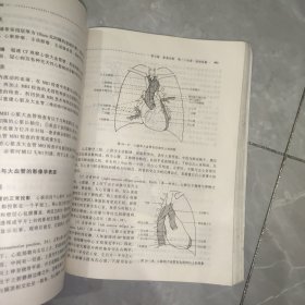 新世纪全国高等中医药院校规划教材：诊断学基础（供中医类专业用）