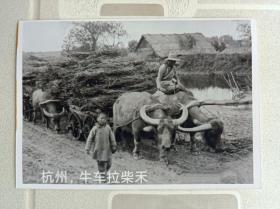 1916年杭州。