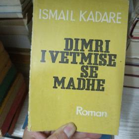 DIMRI I VETMISE SE MADHE冬天里的孤单