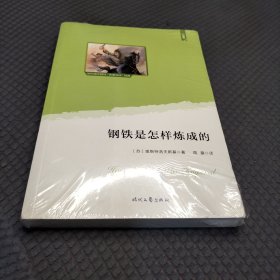 钢铁是怎样炼成的 八年级下