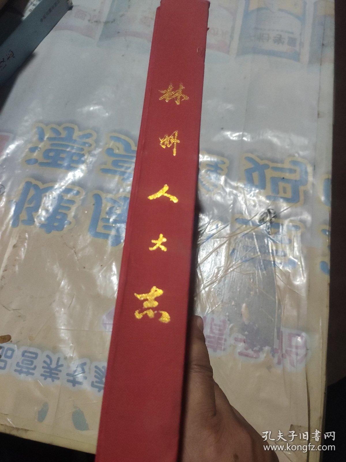 林州人大志