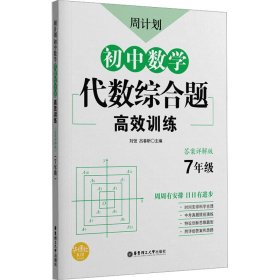 周计划：初中数学代数综合题高效训练（7年级）