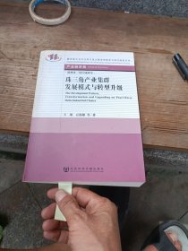 教育部人文社会科学重点研究基地重大项目成果丛书·产业经济类：珠三角产业集群发展模式与转型升级
