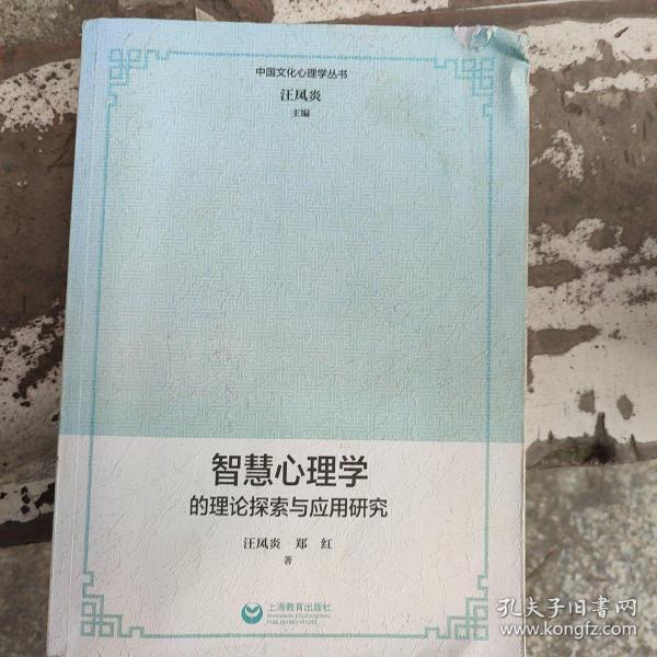 中国文化心理学丛书：智慧心理学的理论探索与应用研究