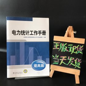 电力统计工作手册. 提高篇