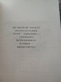 一平方英寸的寂静