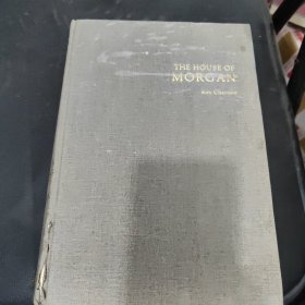 摩根财团：美国一代银行王朝和现代金融业的崛起（1838～1990）