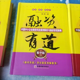 融资有道：中国中小企业融资操作技巧大全与精品案例解析；融资有道：中国中小企业融资风险案例解析与融资管理策略（精华版2）融资有道：中国中小企业融资财务运作与经典案例解析（精华版3）(3册合售)