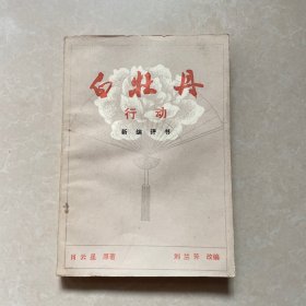 白牡丹行动 新编评书