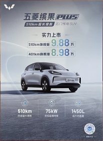 【现货】上汽通用五菱 五菱缤果PLUS 汽车卡片 汽车海报 汽车宣传册