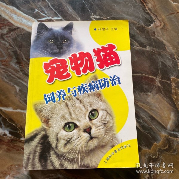 宠物猫饲养与疾病防治