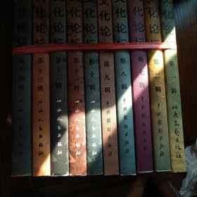 黄河文化论坛（1，2 ，7—14共10册）