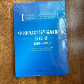 中国低碳经济发展报告蓝皮书（2019-2020）