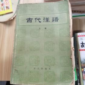 古代汉语：典藏本