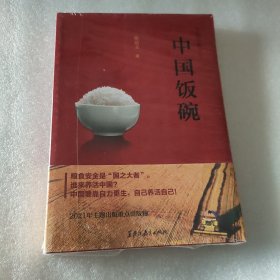 中国饭碗（2021年主题出版重点出版物！陈启文长篇报告文学）