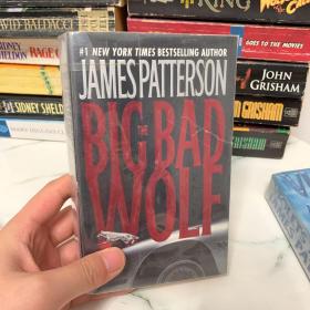 the big bad wolf by James Patterson 英文原版小说