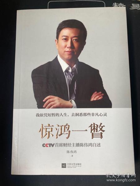 惊鸿一瞥：CCTV首席财经主播陈伟鸿自述