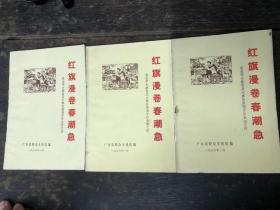 1976年.语录.红旗漫卷春潮急三册