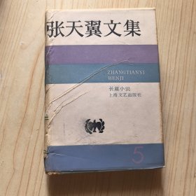 张天翼文集5