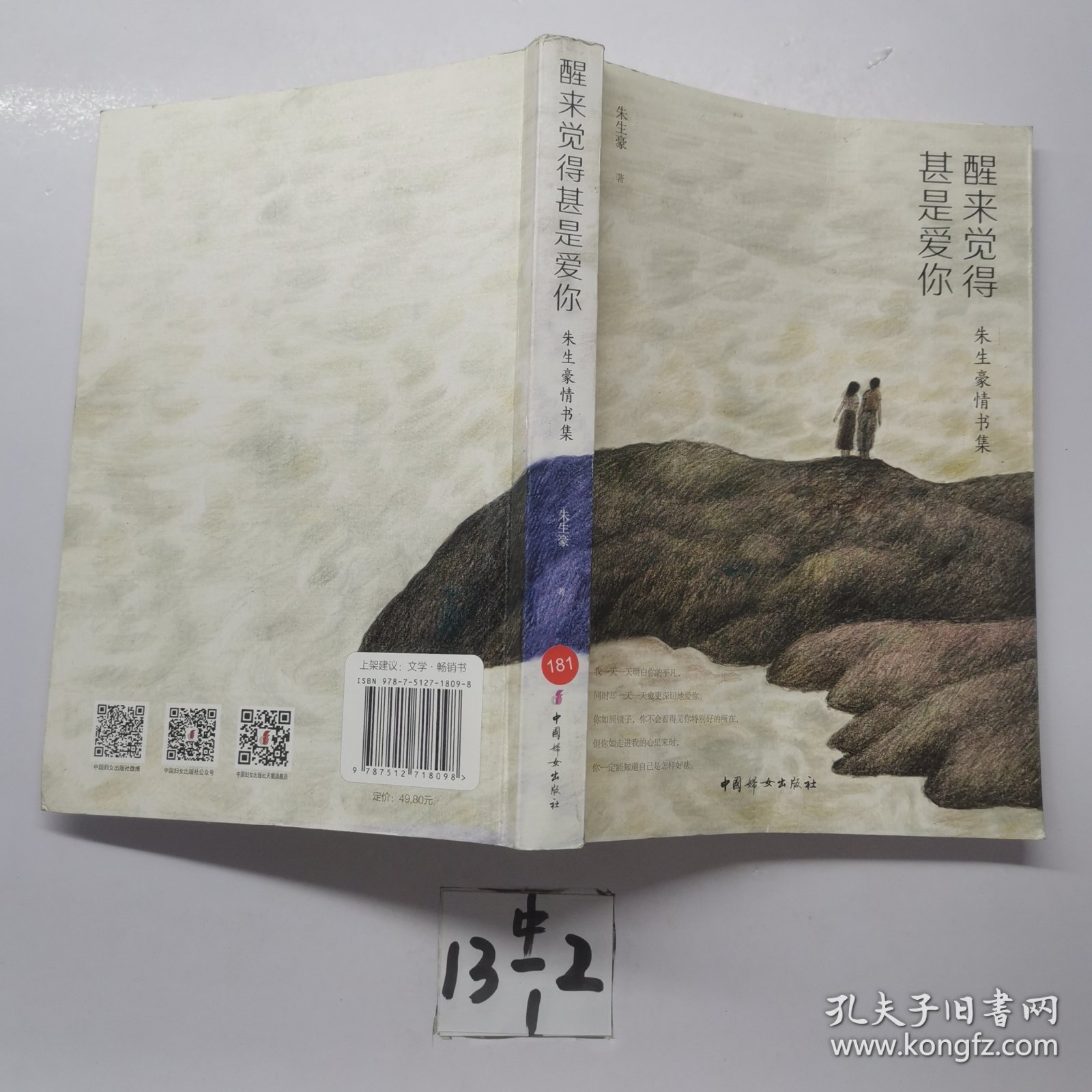 醒来觉得甚是爱你（朱生豪情书集）